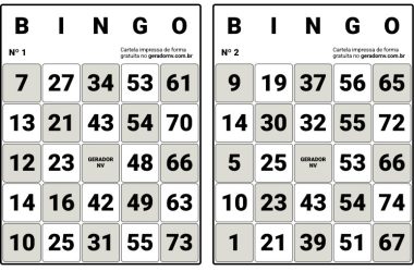 Gerador de Cartela de Bingo PDF para Imprimir